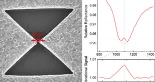 Thermal rectification based on phase transition materials - Advances in Engineering