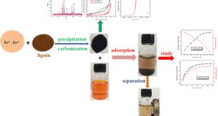 Magnetic lignin-based carbon nanoparticles-Advances in Engineering