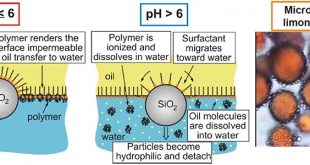 Encapsulation of oils and fragrances by core-in-shell structures from silica particles, polymers and surfactants - Advances in Engineering