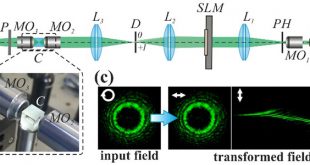 Polarization-dependent transformation of vortex beams by the anisotropic crystal - Advances in Engineering