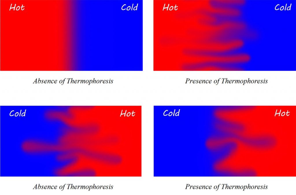 thermophoresis and Brownian diffusion on nanoparticle flows-Advances in Engineering