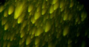 Fig.1--FDI-for-the-HVPE-GaN-sample.-The-surface-roughness-RMS-=-8.35-nm.-This-figure-clearly-shows-that-these - Advances in Engineering