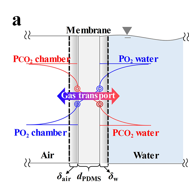 Remove oxygen from clearance water