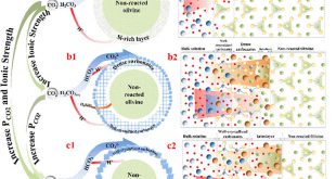 Kinetics and mechanism of mineral carbonation of olivine for CO2 sequestration - Advances in Engineering