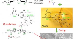 Highly Unsaturated Microcrystalline Cellulose and Its Cross-Linked Soybean-Oil-Based Thermoset Composites - Advances in Engineering