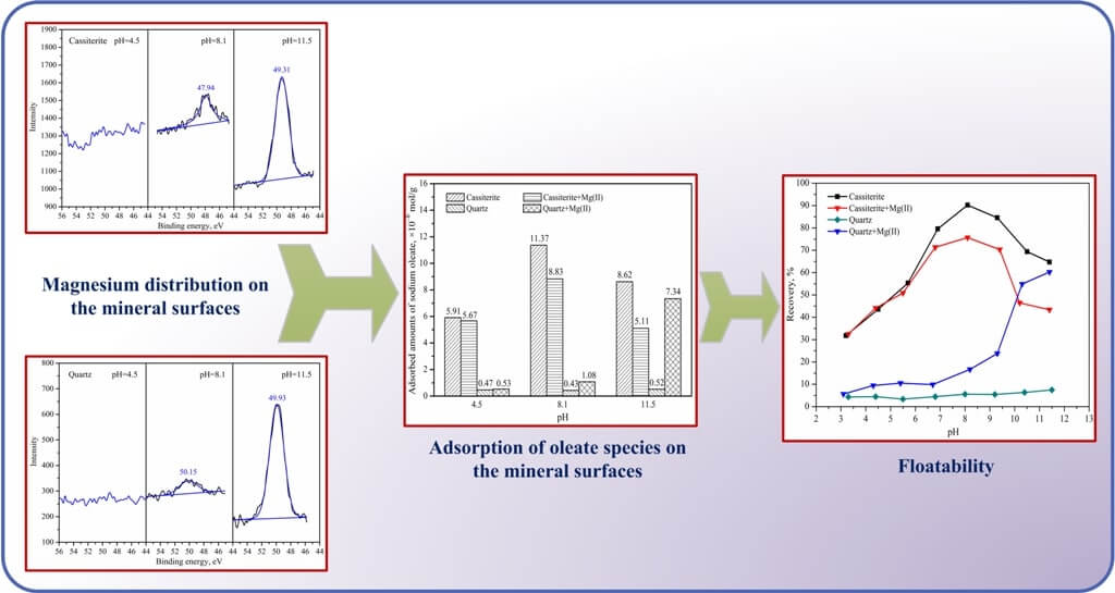 Interaction mechanisms of magnesium ions with cassiterite and quartz