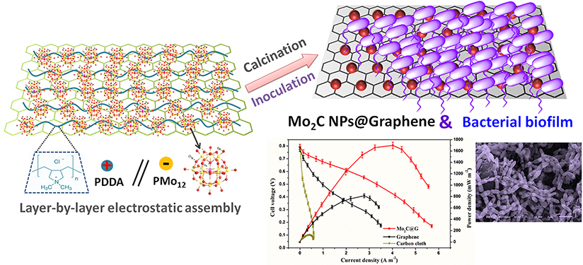 future of bioelectricity production by microbes: Developing new anodic materials - Advances in Engineering