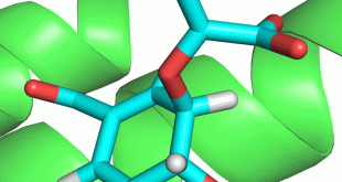 Dispelling entropic mystery may rationalize enzyme design: the case of isochorismate-pyruvate lyase from Pseudomonas aeruginosa - Advances in Engineering