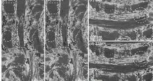 compression damage in a 3D needled-punched carbon fiber-silicon carbide ceramic matrix composite - Advances in Engineering