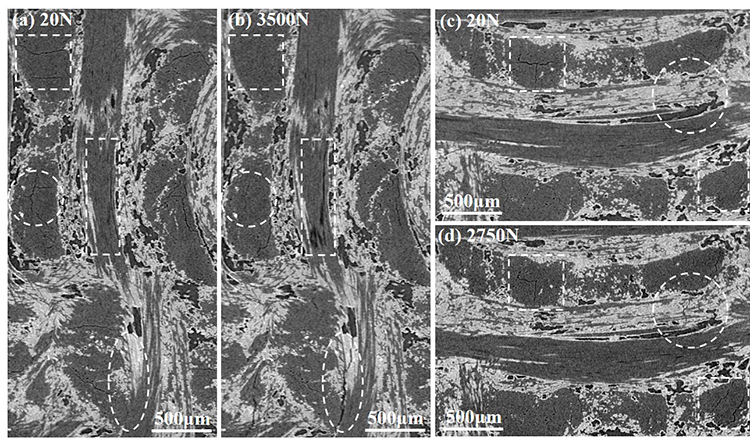 In situ observation of compression damage in a 3D needled-punched carbon fiber-silicon carbide ceramic matrix composite - Advances in Engineering