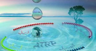The use of untreated water as polymerization solvent could reduce costs of ATRP at industrial scale - Advances in Engineering