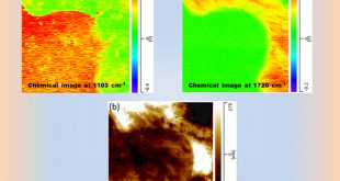 Crystallization and Segregation Behavior at the Submicrometer Scale of PLC/PEG Blends - Advances in Engineering