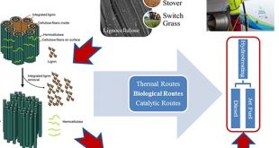 Novel fusants of two and three clostridia for enhanced green production of biobutanol - Advances in Engineering