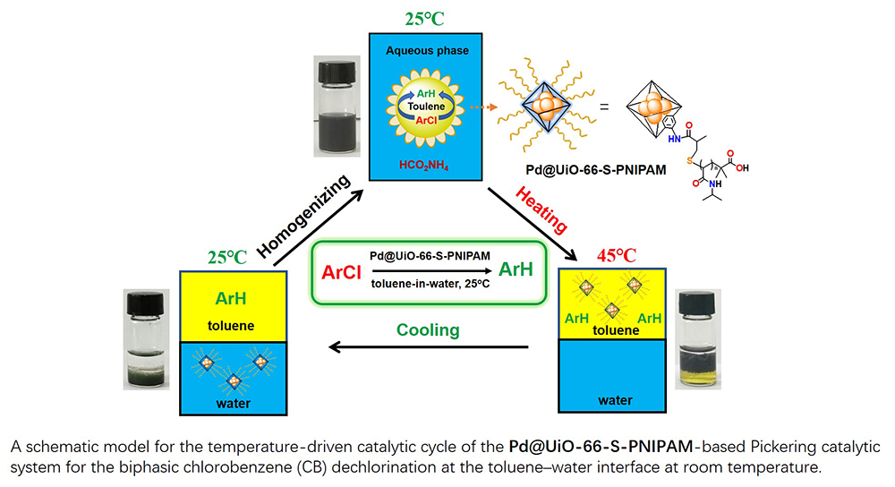 Thermo-responsive polymer-tethered and Pd NPs loaded UiO-66 NMOF for biphasic CBs dichlorination - Advances in Engineering