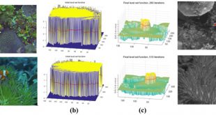 Establishing optical models for underwater object segmentation - Advances in Engineering