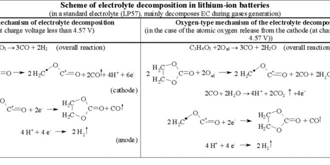 First quantitatively correct mechanism for decomposition of a standard ...