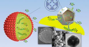 Biometric Mineralization Induced Lipase-Metal-Organic Framework Nanocomposite for Pickering Interfacial Biocatalytic System - Advances in Engineering