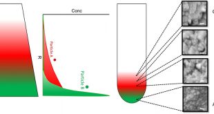 Binary colloidal nanoparticle concentration gradients in a centrifugal field at high concentration - Advances in Engineering