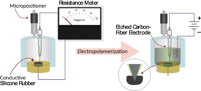 A Simple Fabrication Method for Carbon-Fiber Ultramicroelectrodes and pH Ultramicroelectrodes - Advances in Engineering