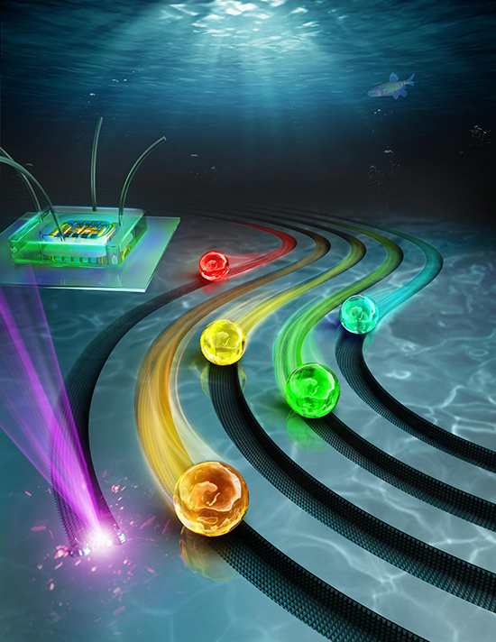 Laser-Etching Underwater Superoleophobic Tracks for Guiding Oil Droplets - Advances in Engineering