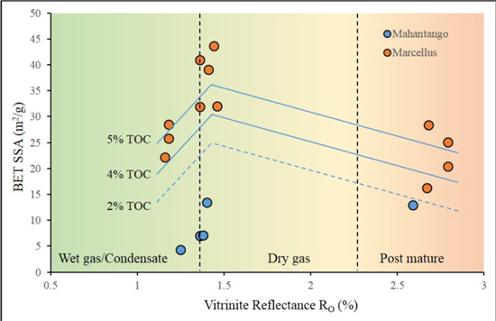 Porosity and storage capacity of Middle Devonian shale: A function of thermal maturity, total organic carbon, and clay content - Advances in Engineering