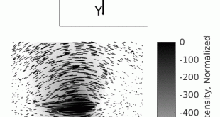 Backscattering polarimetric images derive structural information on scattering media - Advances in Engineering