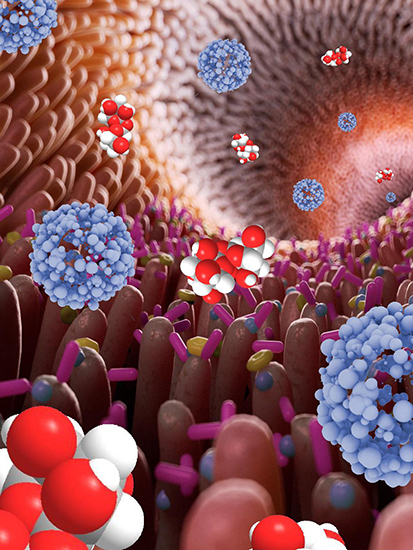 Re-thinking mucus-penetrating nanoparticles using natural sugars - Advances in Engineering