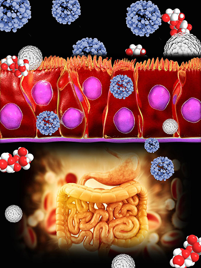 Re-thinking mucus-penetrating nanoparticles using natural sugars - Advances in Engineering