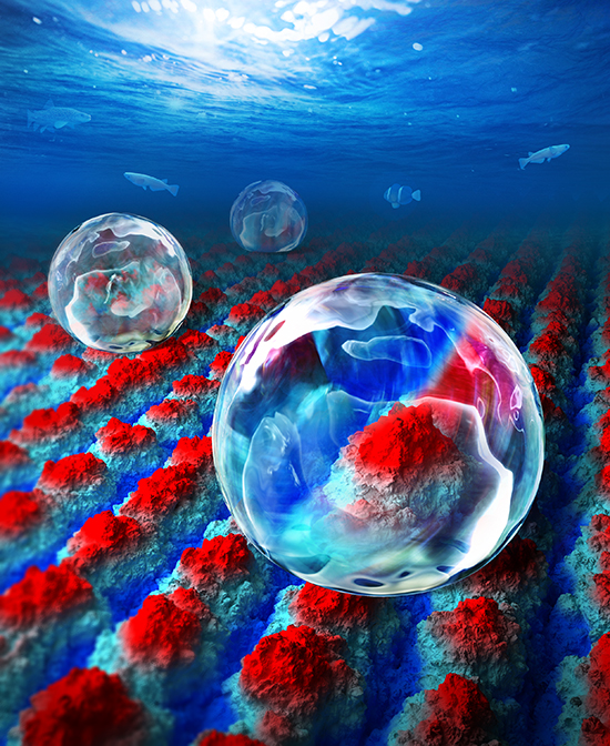 Femtosecond-Laser-Produced Underwater Superpolymphobic Surfaces that Repels Liquid Polymers in Water - Advances in Engineering
