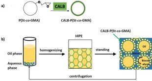 Pickering gel emulsion stabilized by enzyme immobilized polymeric nanoparticles: a robust and recyclable biocatalysts system for biphasic catalysts - Advances in Engineering