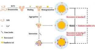 Impact of gum Arabic on the partition and stability of resveratrol in sunflower oil emulsions stabilized by whey protein isolate - Advances in Engineering