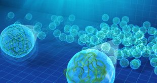 Soft-microgels: crossover from translational to jamming dynamics - Advances in Engineering