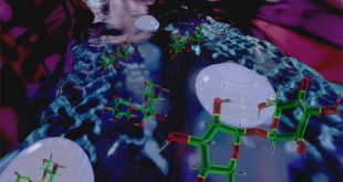 mucus-penetrating-nanoparticles-using-natural-sugars-advances-in-engineering