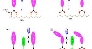 Variation in hydrophobic chain length of co-adsorbents to improve dye-sensitized solar cell performance - Advances in Engineering