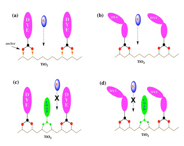 Variation in hydrophobic chain length of co-adsorbents to improve dye-sensitized solar cell performance - Advances in Engineering