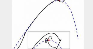 An Original Extremum Seeking Strategy applied to Photobioreactors - Advances in Engineering
