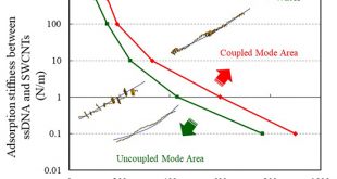 Vibration analysis of single-stranded DNA-wrapped single-walled carbon nanotubes using finite element method - Advances in Engineering