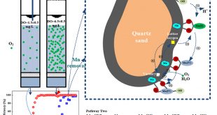 Effects of dissolved oxygen on the start-up of manganese oxides filter for catalytic oxidative removal of manganese from groundwater - Advances in Engineering