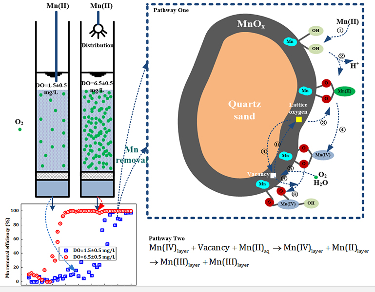 Effects of dissolved oxygen on the startup of manganese oxides filter for catalytic oxidative