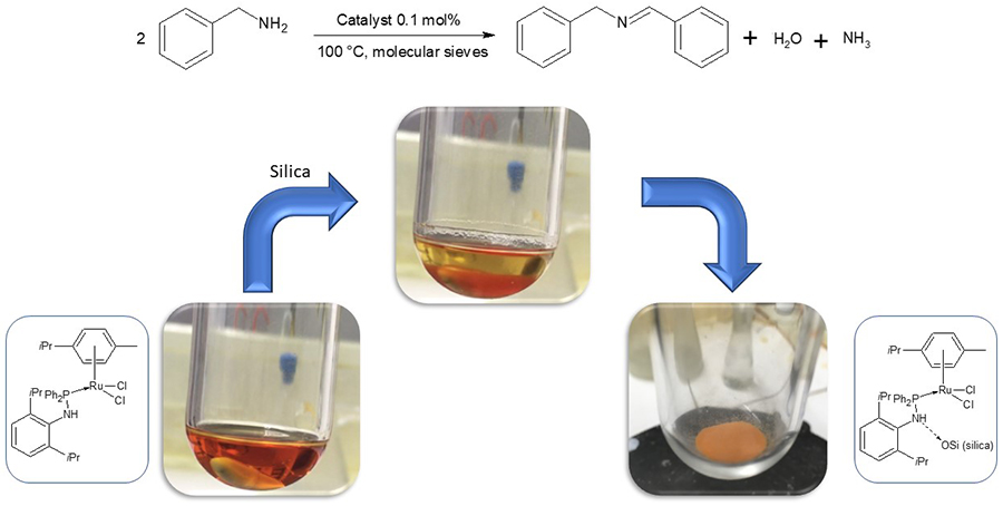Selective Aerobic Oxidation of Benzyl Amines - Advances in Engineering