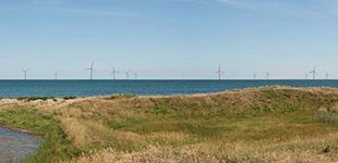 Who really wants wind farms? Attitudes towards local offshore coastal wind farms among local residents and summerhouse owners in Denmark - Advances in Engineering