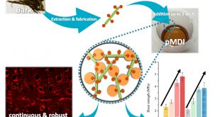 Lignin-containing cellulose nanofibril application in pMDI wood adhesives for drastically improved gap-filling properties with robust bondline interfaces - Advances in Engineering