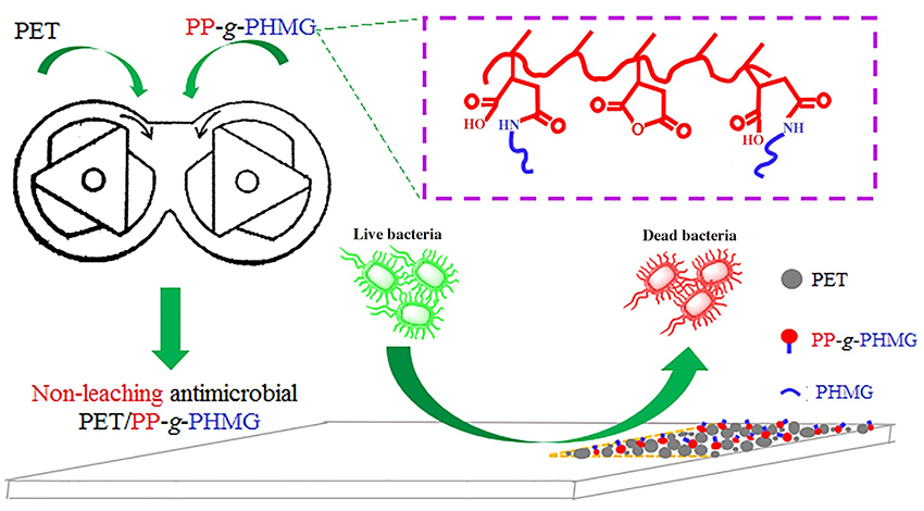 Enhancing the nonleaching antimicrobial performance of PET materials - Advances in Engineering Enhancing the nonleaching antimicrobial performance of PET materials - Advances in Engineering