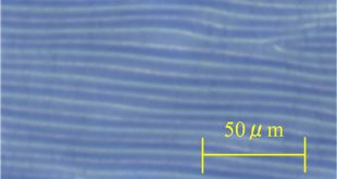 Control of droplet movement on a plate with micro-wrinkle by difference of wettability - Advances in Engineering