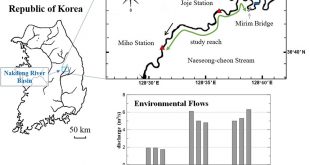 Comparison of environmental flows from a habitat suitability perspective: A case study in the Naeseong-cheon Stream in Korea - Advances in Engineering