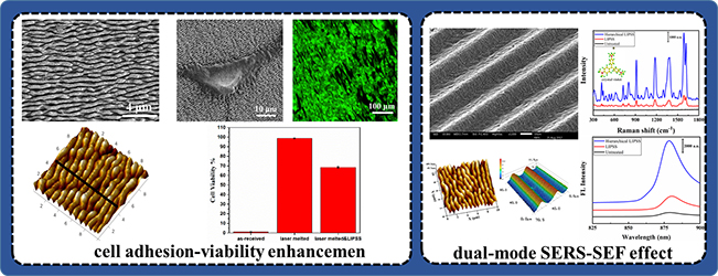 Laser treatments yield better biomaterial surfaces - Advances in Engineering Laser treatments yield better biomaterial surfaces - Advances in Engineering