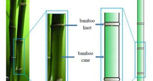 Fabrication of bamboo-structure hollow polyester monofilaments for extraordinary compression properties - Advances in Engineering