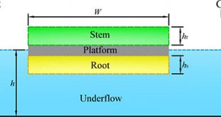 solitary wave interaction with a vegetated platform - Advances in Engineering