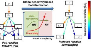 Global sensitivity based uncertainty reduction of lumped models - Advances in Engineering