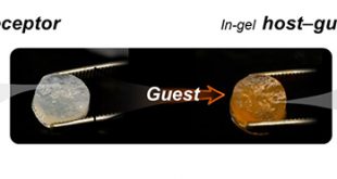 Functional Gels from Natural Nanomaterials - Advances in Engineering